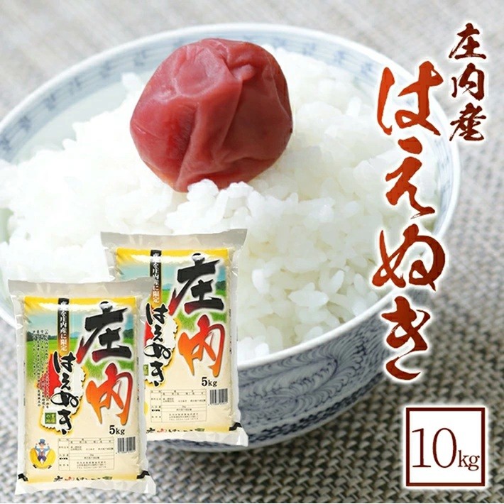 
                  はえぬき 5kg×2袋 計10kg 令和7年産米 農産物検査員おすすめ 庄内米 東北 山形県 酒田市 庄内地方 庄内平野 米 お米 精米 白米 ブランド米 ごはん ご飯 SY 荘内米穀商業協同組合　SC0703
                