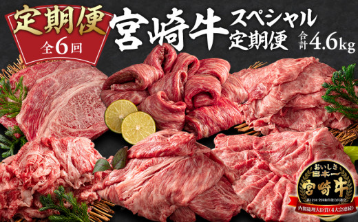 定期便 6ヶ月 お楽しみ 宮崎牛 スペシャル6種セット 計4.6kg【牛肉 国産 宮崎牛 6回 毎月】みやざき牛 全6回 冷凍便 すきやき すき焼き 肉 お肉 にく おにく 焼肉 焼き肉 焼肉用 焼き肉用 ロース 肩ロース ステーキ ウデ モモ 国産牛 和牛 切り落とし スライス 冷凍 小分け 内閣総理大臣賞4大会連続受賞 和牛オリンピック 宮崎県 宮崎市_M241-T010