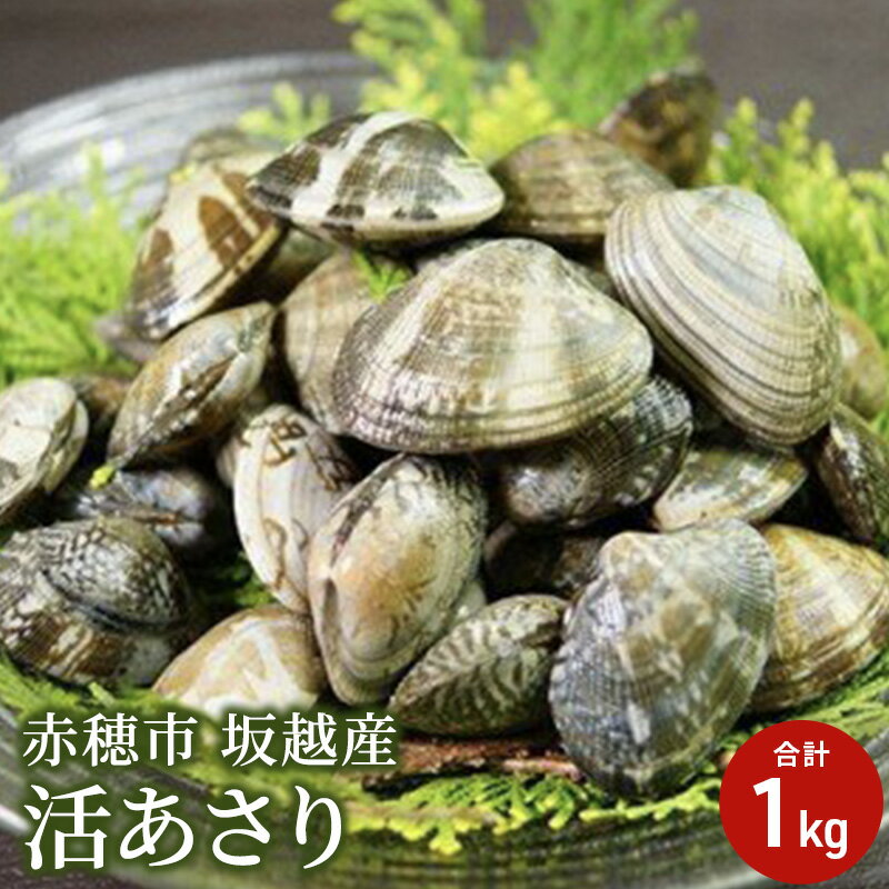 【ふるさと納税】【2026年3月上旬より出荷開始】兵庫県 赤穂市 坂越産 活あさり 1kg アサリ 浅利 　お届け：2026年3月上旬～2026年5月下旬