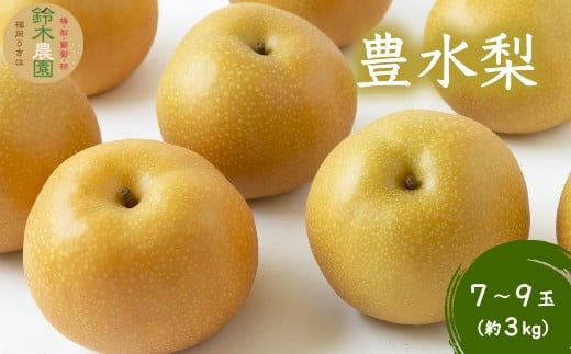 P196-03 鈴木農園 特撰甘果逸品 豊水梨 7～9玉 (約3kg) 2024年8月20日～9月10日 出荷予定