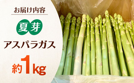 【先行予約】甘くやわらか！こだわり 夏芽 アスパラガス 約1kg【ふぁふぁふぁーむ】あすぱら 野菜 アスパラ[ICS002]