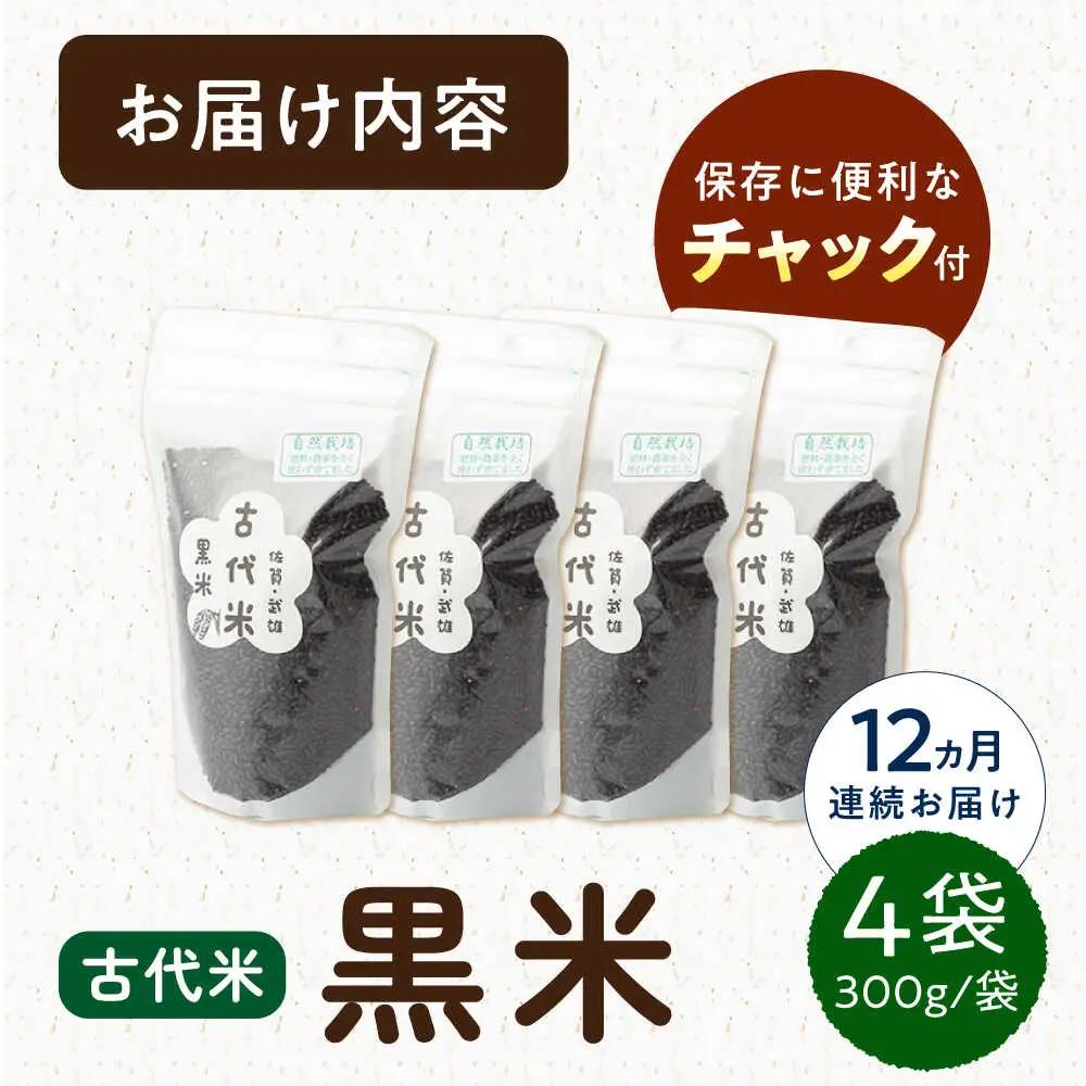 【12回定期便】古代米 黒米 4袋 /永尾 忠則 [UAS019] 雑穀 雑穀米