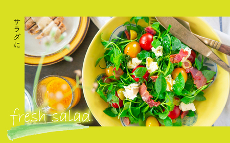 【産地直送】朝摘み新鮮!道志村産クレソン 20束(1400~600g) DSAA003 【期間限定】