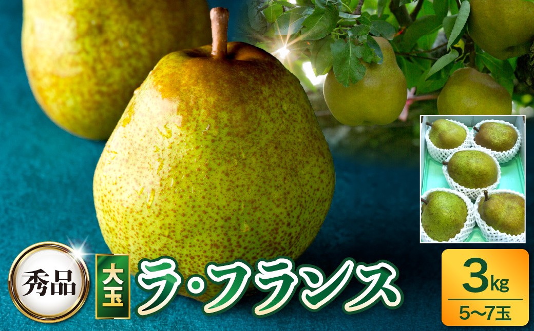
                  西洋梨（ラ・フランス）３ｋｇ　大玉　0017-2617
                