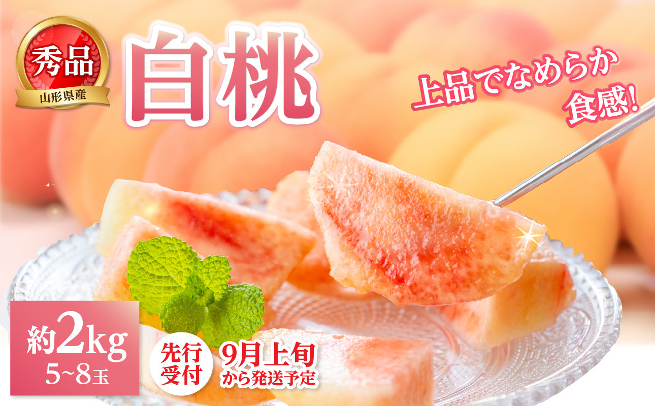 
            《先行受付》★白桃（品種おまかせ）★ 約2kg(5～8玉) 秀品 【2025年9月上旬頃～発送予定】 【063-002】
          