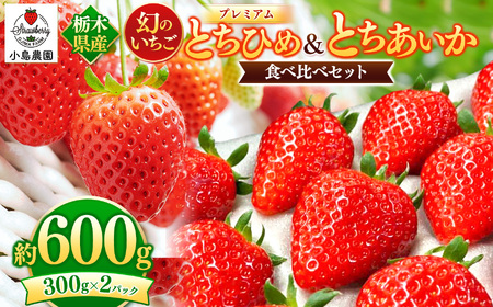 とちひめ とちあいか 食べ比べ プレミアム 幻のいちご｜600g 希少 柔らかい 果肉 大粒 ジューシー 果汁 いちご 苺 特産品 ストロベリー strawberry スイーツ お取り寄せ ご褒美 贈答用 プレゼント ご褒美 栃木県 真岡市