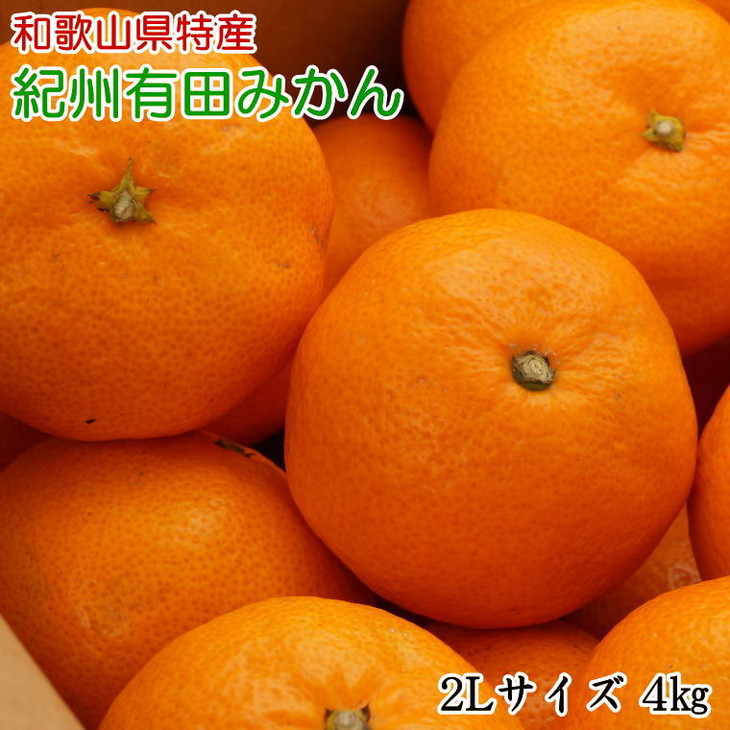 [秀品]和歌山有田みかん4kg(2Lサイズ) ※2025年11月中旬～2026年1月中旬頃に順次発送予定 ふるさと納税 ミカン