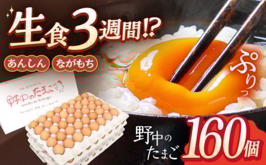 産みたて新鮮卵 野中のたまご  160個【野中鶏卵】[OAC003] /卵 長持ち 濃厚 たまご 卵 濃厚 卵料理 タマゴ 鶏卵 たまご オムレツ 卵かけご飯 卵焼き たまご 料理 新鮮 卵 贈答 たまご tamago 長崎県 川棚町