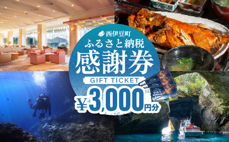 【3,000円分】西伊豆町ふるさと納税感謝券 