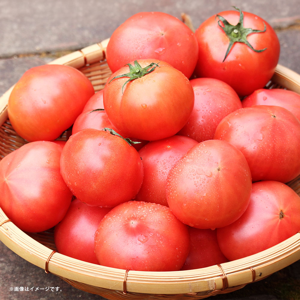 【ふるさと納税】 トマト Lサイズ 約4kg 約20玉 とまと 野菜 やさい サラダ 熊本県産 国産 九州 熊本県 熊本市 送料無料
