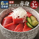 【ふるさと納税】【6ヶ月定期便】長崎県産 本マグロ 赤身 約500g×6回お届け 合計約3kg【大村湾漁業協同組合】