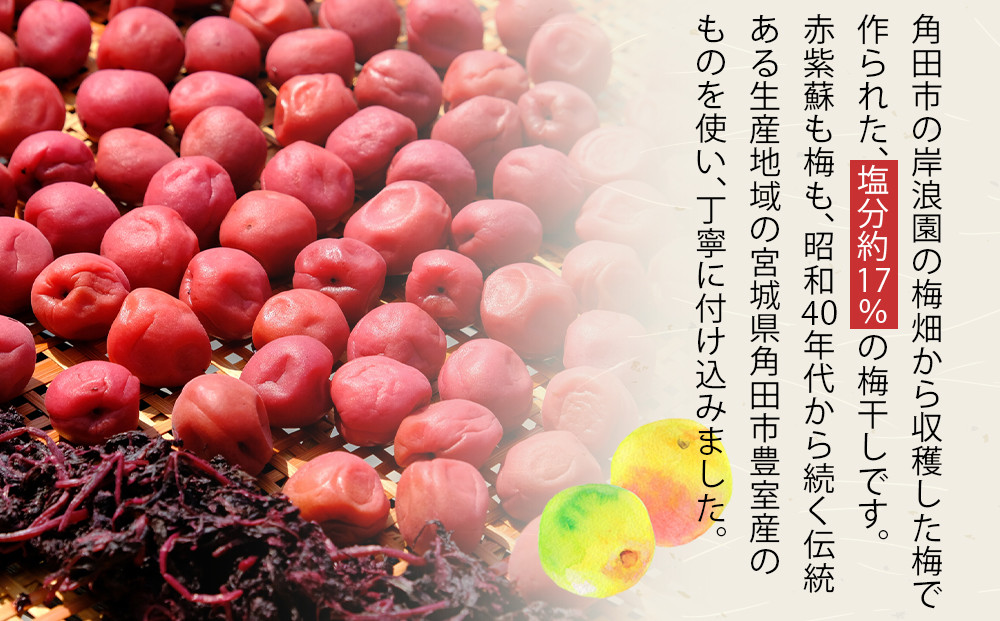 【2026年2月下旬より発送】梅干し 300ｇ 12パック入り 300個限定