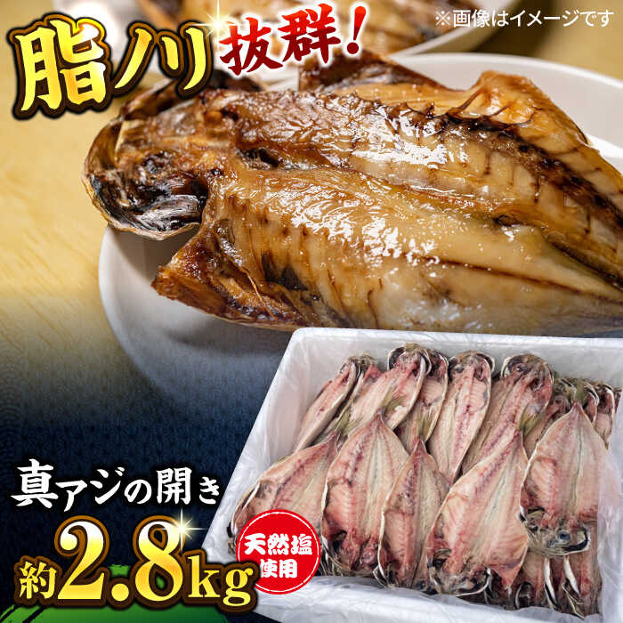 【ふるさと納税】漁師町佐島 真アジの開き 約2.8kg（40枚前後）セット 干物 ひもの 鯵 真鯵 アジの開き あじの開き アジ 真アジ 干物屋 ジューシ− 魚 朝食 朝ごはん おかず 和食 人気 あじ 横須賀【石川水産】[AKCX001] 10000円1万円
