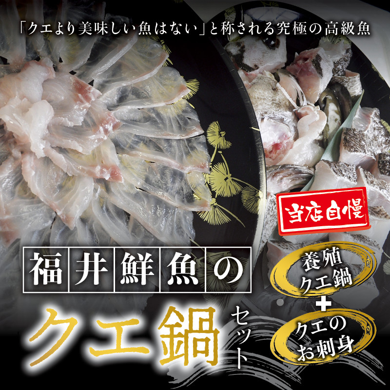 
【先行予約】幻のクエ！国産 養殖クエ鍋500g 刺身150g くえ 鍋 セット【fki101-cho】
