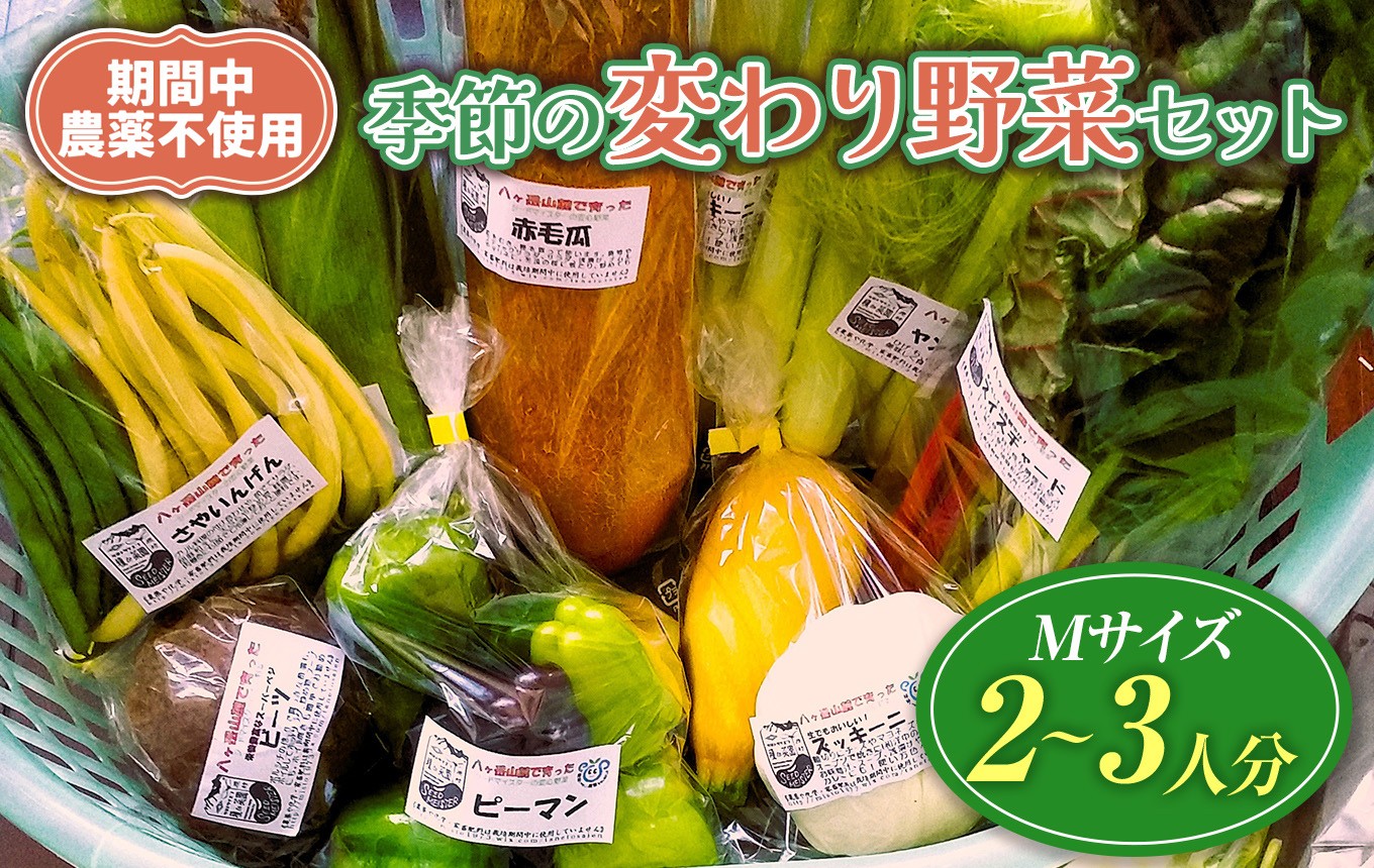 
                  【栽培期間中農薬不使用・無化学肥料・無家畜性肥料で育てた】 季節の 変わり野菜セット ( Mサイズ )【2026年7月下旬～発送】| 旬 野菜 珍しい 10種類前後 2～3人分 セット シードマイスター 農薬不使用 無化学肥料 無家畜性肥料 信州 八ヶ岳 長野県 諏訪郡 原村
                