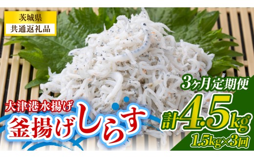 【3回 定期便】大津港水揚げの釜揚げしらす 1.5kg(250g×2パック×3箱) (茨城県共通返礼品:北茨城市) 冷凍 小分け パック 少量 釜揚げ ごはん ご飯 丼 海鮮 魚 名物 グルメ 茨城県 魚介類 ちりめん シラス しらす じゃこ サラダ ふるさと納税 人気 料理（BC026）