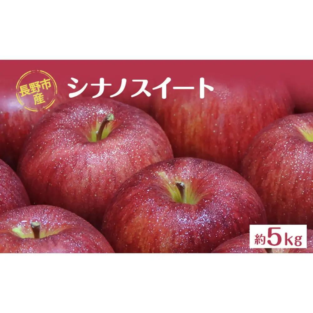 牧野果樹園　長野市産「シナノスイート」約5kg (11~16玉）  | りんご フルーツ 果物 りんご