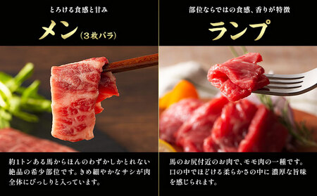 馬肉 熊本特産 フジチクオリジナル 特選 馬刺し 8種 セット 道の駅竜北  熊本県 氷川町 肉 馬肉 メン 大トロ 中トロ ヒレ シャトーブリアン ロース ランプ 上赤身 ネギトロ ふじ馬刺し セッ