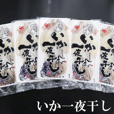 ふるさと納税 根室市 いか一夜干し2枚×5P B-32051