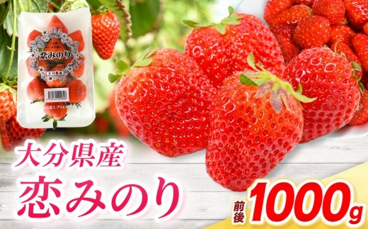 恋みのり × 4パック ( 約1000g ) ( 1パック/250g前後 ) | 苺 イチゴ いちご ベリー フルーツ 果物 くだもの 大分県産 産地直送 大分県 中津市
