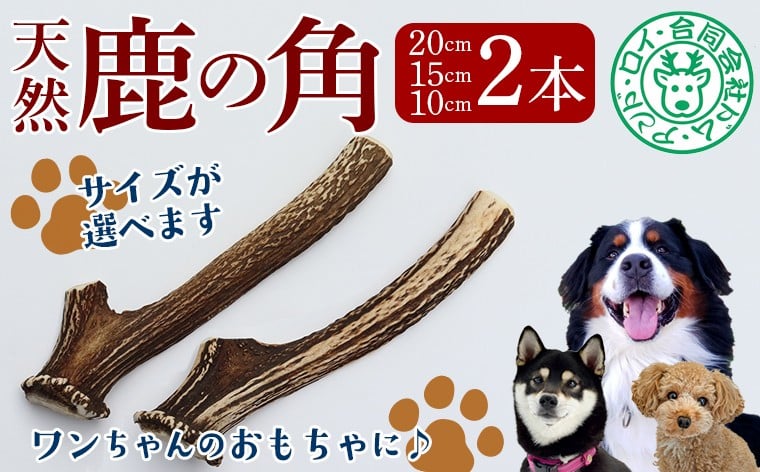 
                  【犬のおもちゃ】シカの角 2本 10cm 15cm 20cm 小型犬 中型犬 大型犬　鹿 シカ 犬 ペット ワンコ ワンちゃん おもちゃ 角 ツノ 丸 半割り インテリア 飾り 置き物 おすすめ 天然 野生 肉 ジビエ 国産 ごほうび 健康 噛む 噛み癖 ストレス ひまつぶし 歯 歯みがき 歯垢 歯石除去 工作 芸術 中型犬  大型犬 房総 千葉県
                