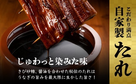 うなぎ蒲焼き 1尾 定期便 12回 うなぎ yj045