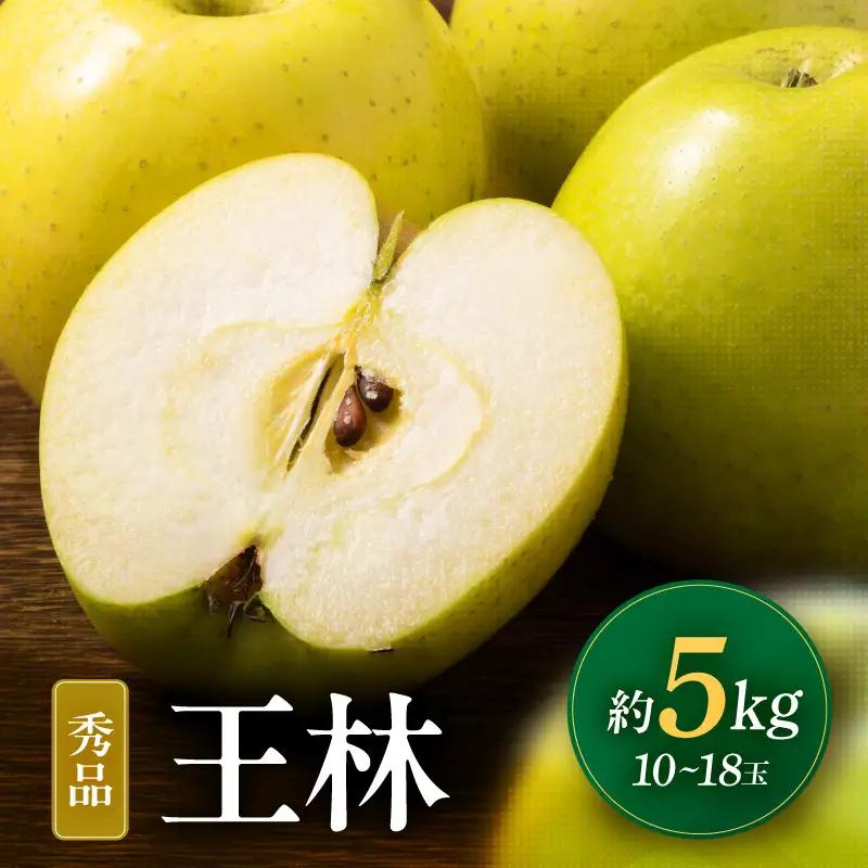 南信州産 王林 約5kg 秀品 ＜2026年11月上旬～順次発送＞ ＪＡみなみ信州ＤＭセンター飯田市