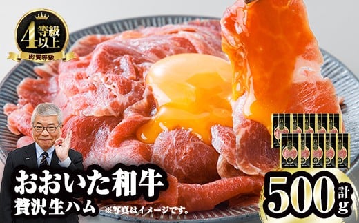 おおいた和牛 生ハム (計500g・50g×10P) 国産 牛肉 もも肉 ハム A4 和牛 ブランド牛 小分け おつまみ 大分県 佐伯市 【FW009】【ミートクレスト】