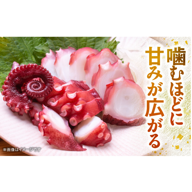 洗い泉州タコ1ｋｇ 099H070_イメージ2