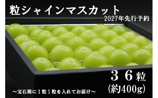 【2027年発送分 先行予約】《厳選・宝石箱》シャインマスカットひと口BOX(３６粒入り・約400g)　シャイン マスカット ぶどう 葡萄 ブドウ 房なし 粒シャイン 粒のみ 粒だけ くだもの 果物 フルーツ 山梨 やまなし 富士川町