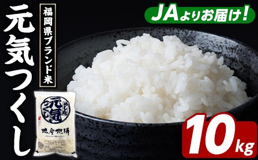 福岡県ブランド米 元気つくし (10kg・5kg×2袋) お米 米 コメ おこめ こめ げんきつくし 白米 ごはん ご飯 福岡県産 ブランド米 常温 常温保存 おにぎり おむすび お弁当 【農産物直売所ほたるの里】as52-002