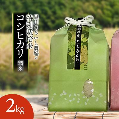 ふるさと納税 鶴岡市 【令和7年産】黒川まるいし農場の特別栽培米コシヒカリ 精米 2kg[K-721]