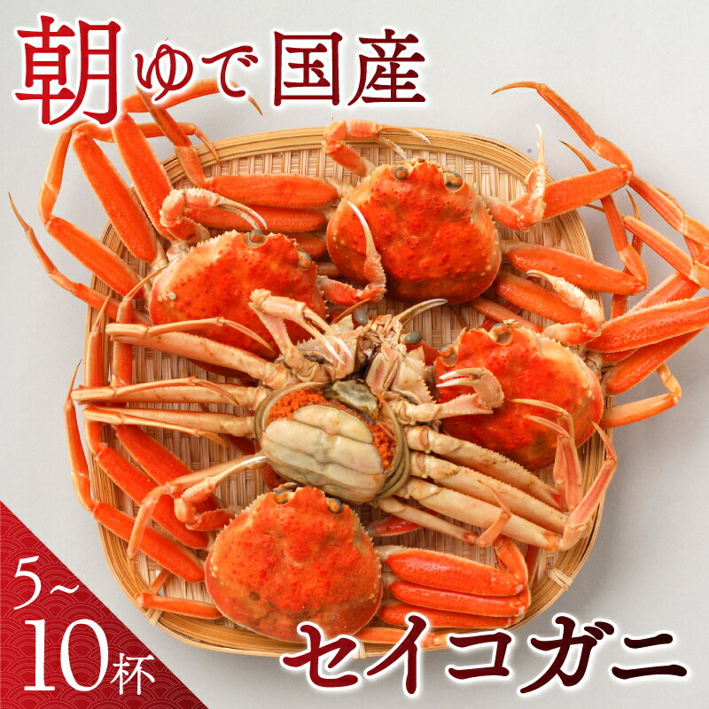 【ふるさと納税】【先行予約/11月7日より順次発送】朝ゆで国産セイコガニ【容量が選べる 5杯or10杯】｜ かに ズワイガニ 雌 内子 外子 メス 蟹 せいこがに 福井 セイコガニ 5杯 冬 せいこ蟹 5 カニ かにみそ カニ鍋 冬 旬【配送不可地域：北海道・沖縄・離島】 [BFAA004]