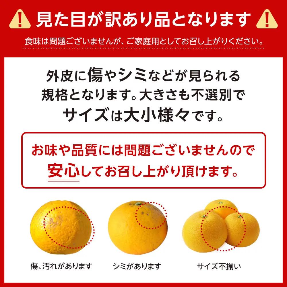 はっさく 八朔 約3kg 大小サイズ 混合 ご家庭用