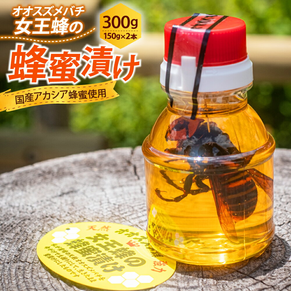 【ふるさと納税】女王蜂の蜂蜜漬け 150g×2本 計300g はちみつ漬け ハチミツ 蜂蜜 はちみつ スズメバチ オオスズメバチ 国産 アカシア蜂蜜 養蜂園 養蜂場 送料無料 (368) 【えひめの町（超）推し！（内子町）】