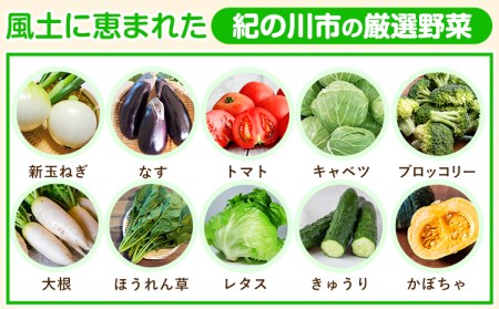 【3ヶ月定期便】 旬のフルーツ＆野菜セット 計8~10品