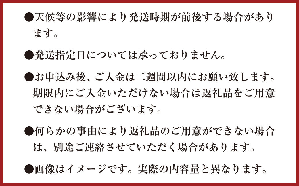 ひとさじでおうちごはんを整える発酵調味料・玉ねぎ麹 （2個）