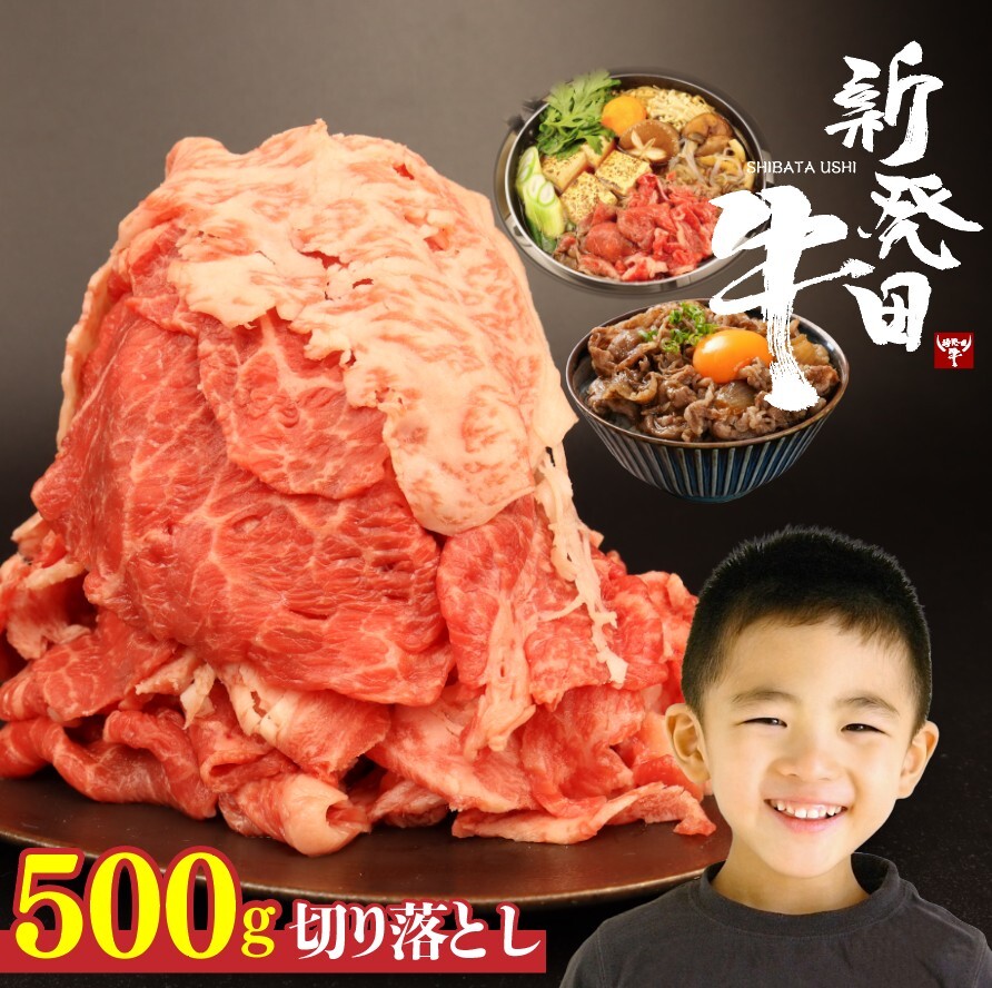 牛肉 切り落とし 500g 肉 和牛 霜降り ブランド牛 新発田牛 にいがた和牛 国産 しゃぶしゃぶ 小分け 小間切れ スライス 簡単調理 贈答 お歳暮 新潟県 新発田市 新潟 新発田 近江牛 神戸牛 松阪牛 米沢牛 三大和牛 に負けない えのもとミート　enomoto001