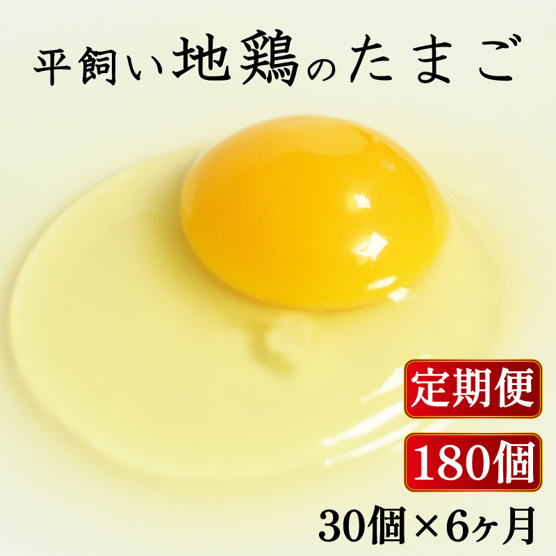 
定期便 全6回 平飼い地鶏のたまご 30個×6ヶ月 合計180個 毎月30個 たまご 卵 玉子 生卵 鶏卵 平飼い 岡崎おうはん 地鶏 鳥 鶏 愛知 なごや 岡崎 愛媛 愛南町 ケーキ お菓子 おかず ブランド 希少 送料無料 ローカルスタンダード
