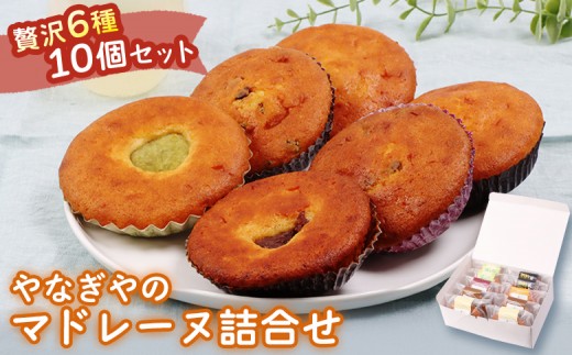 
                  【贅沢6種】やなぎやのマドレーヌ詰合せ（10個セット） | マドレーヌ プレーン チョコチップ ずんだ ラムレーズン 酒粕 オレンジ 詰め合わせ アソート 焼き菓子 ギフト 洋菓子 人気 スイーツ 個包装 6種 バラエティ お取り寄せ 宮城県 白石市 白石【54001AA0101】
                