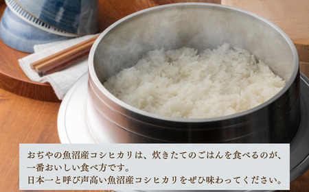 【令和7年産 新米予約 定期便】魚沼産コシヒカリ 計60kg(5kg3袋×4回) 毎月お届け 白米 魚沼 米 共栄農工社