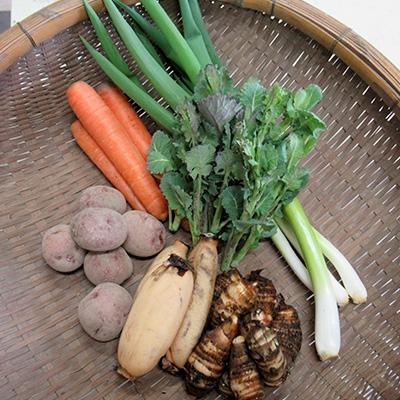 ふるさと納税 木津川市 【京都産】自然体な野菜セット |  | 01