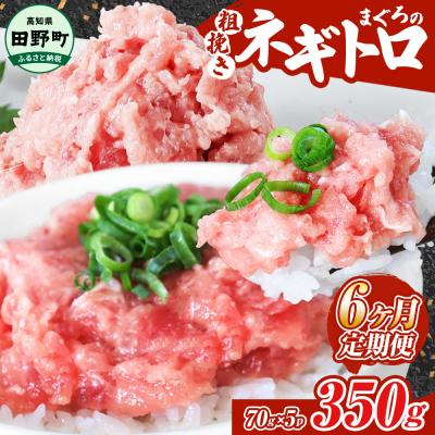 ふるさと納税 田野町 〜四国一小さなまち〜≪カネアリ水産≫まぐろのネギトロ 350g(70g×5パック)★6ヶ月定期便★