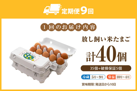 【9か月定期便】放し飼い米たまご35個+5個保証（計40個）農家直送 新鮮 卵 タマゴ 赤卵 玉子 鶏卵 朝食 夕食 夜食 朝ごはん たまご焼き オムレツ 卵ご飯 料理 濃厚 飼料にこだわった 卵かけ
