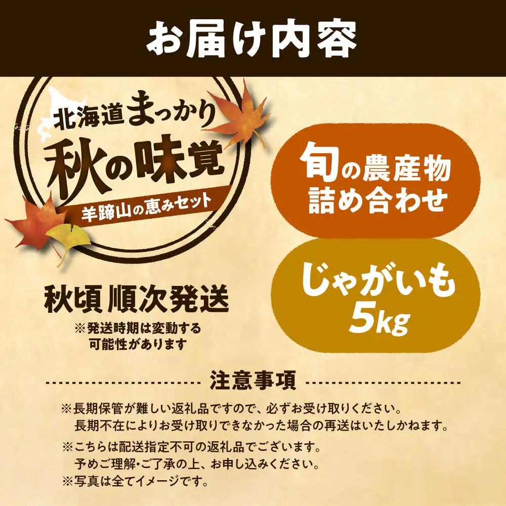 【先行予約】 秋の味覚セット [BPAM001] 野菜セット 北海道