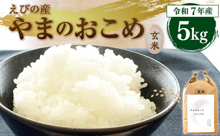 【令和7年産】えびの産 選べる ヒノヒカリ 米 やまのおこめ 5kg 玄米 お米 国産 宮崎県 九州 ひのひかり 送料無料 おにぎり こめ コメ