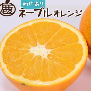 ＜2月より発送＞家庭用 ネーブルオレンジ3kg+90g（傷み補償分） 訳あり わけあり 光センサー選別 ［IKE41］