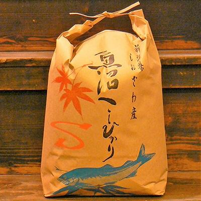 ふるさと納税 南魚沼市 令和7年産 《語り伝えられる地》南魚沼しおざわ産コシヒカリ5Kg(玄米)