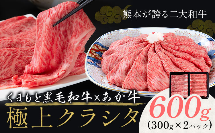 黒毛和牛 A4～A5等級 あか牛 クラシタ 食べ比べ 霜降り 赤身 すき焼き しゃぶしゃぶ 600g 数量限定 牛肉 冷凍 くまもと黒毛和牛 《2026年1月中旬-3月末頃出荷》 冷凍庫 個別 以内 ブランド牛 赤身 霜降り お歳暮---mna_fakkmst_bc13_r7_12000_600g---