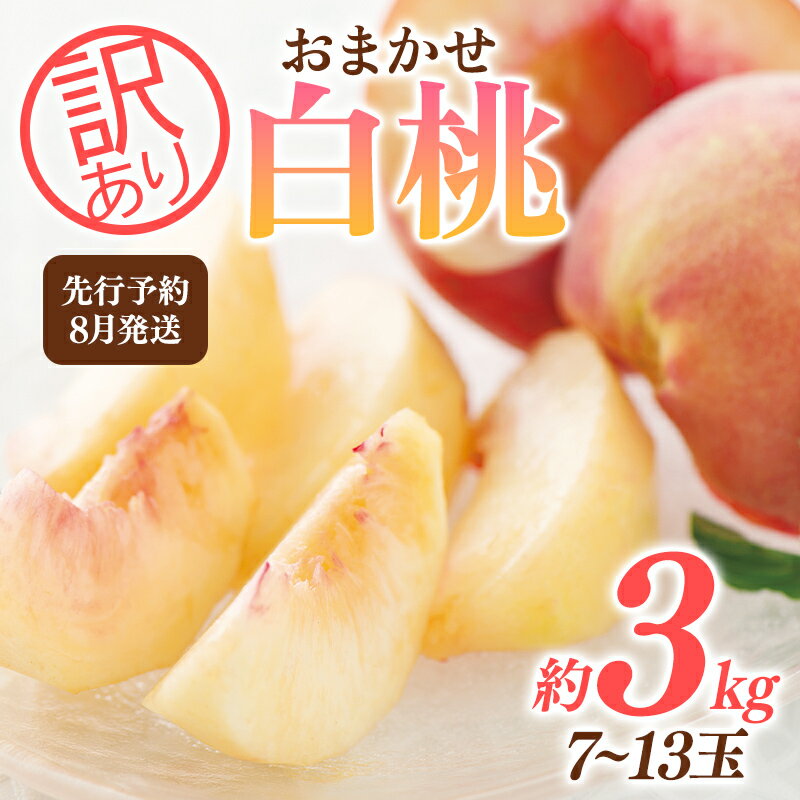 【ふるさと納税】 ≪2026年先行予約≫ ご家庭用 8月発送 山形県産 品種おまかせ 白桃 約3kg(7～13玉) 2026年8月上旬から順次発送 はくとう 桃 もも モモ 果物 くだもの 夏果実 フルーツ 訳あり 農業者支援 家庭用 自宅用 産地直送 山形県 西川町 月山 FYN9-731